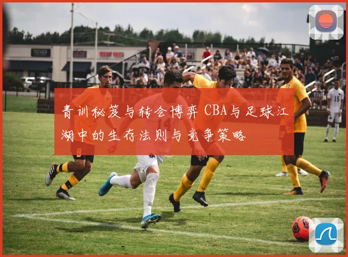 青训秘笈与转会博弈 CBA与足球江湖中的生存法则与竞争策略