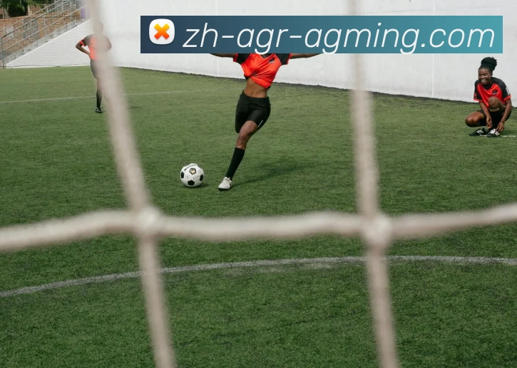 AG娱乐登录发展历程